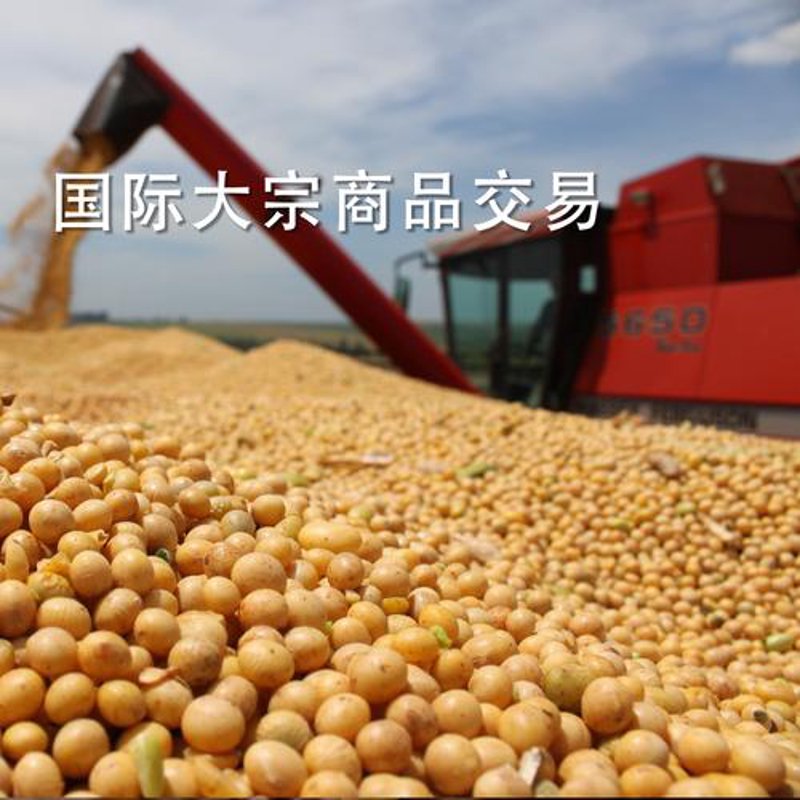 多普得商贸：商业贸易的新篇章